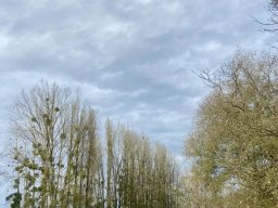 Eisfahrt (Moder) November 2025